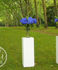 Location colonnes blanches bordeaux nantes tours paris poitiers la rochelle