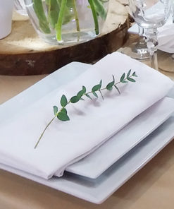 SERVIETTES DE TABLE